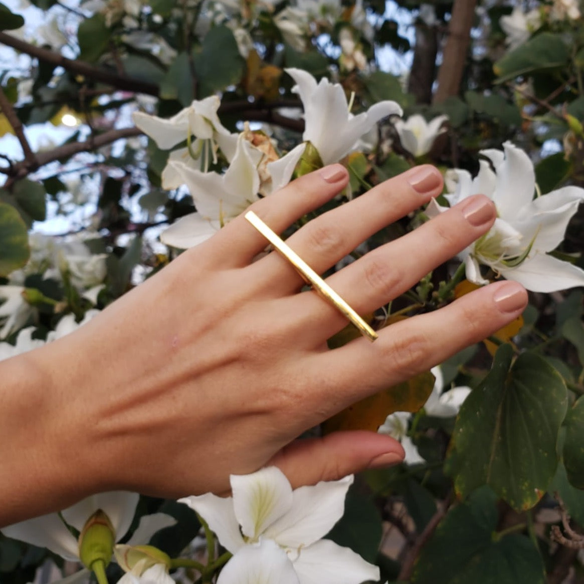 Anillo Lucia